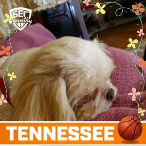 Meet your Posher, Connie